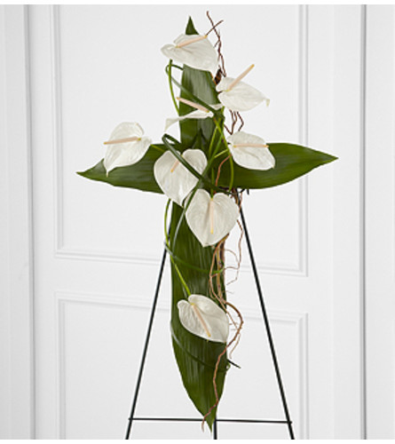 Anthurium Cross