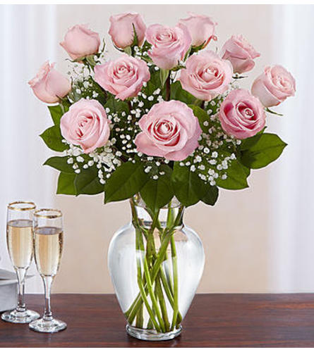 Pink Roses One Dozen