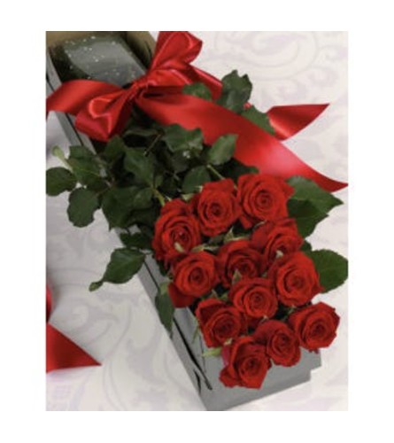 One Dozen Premium Red Roses Boxed