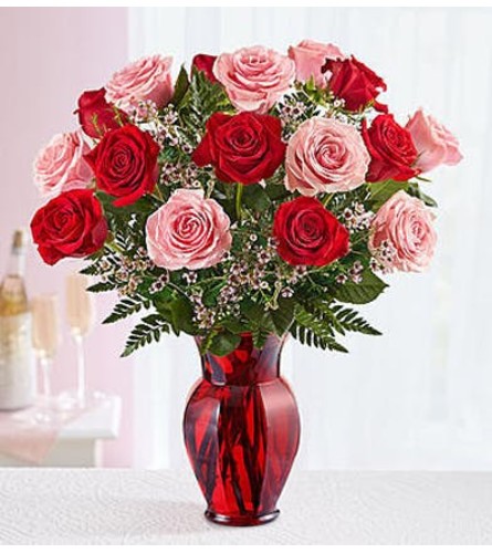 Eighteen Pink and Red Roses in Red Vase