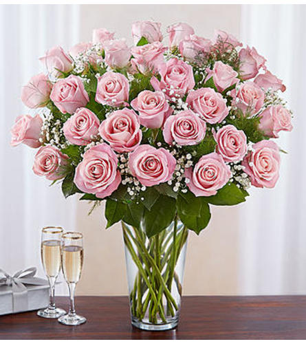 Pink Roses Three Dozen