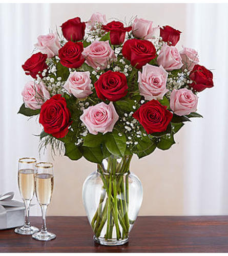 Pink and Red Roses Two Dozen