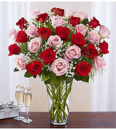 Pink and Red Roses Three Dozen