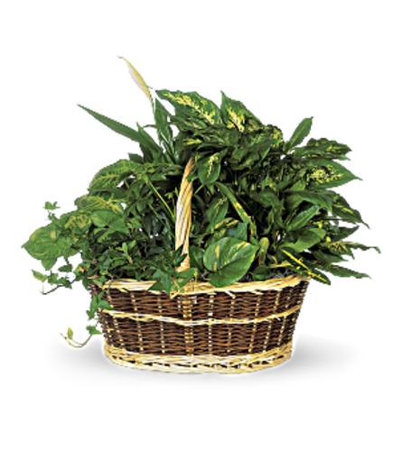 Large Garden Basket