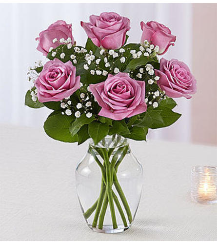 Lavender Roses Six