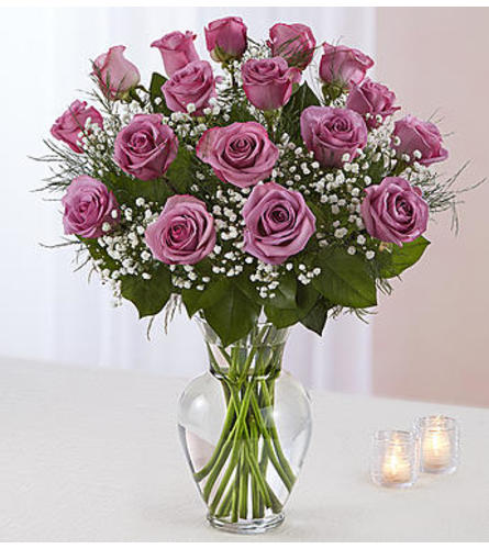 Lavender Roses Eighteen