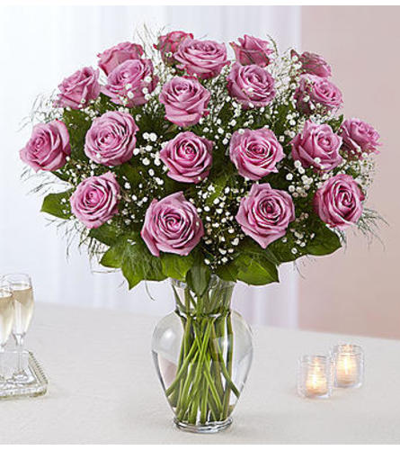 Lavender Roses Two Dozen