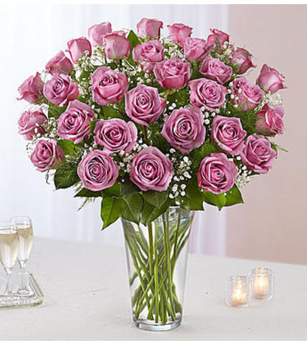 Lavender Roses Three Dozen