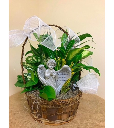 Sympathy Dish Garden With Angel Medium. An arrangement by Flowers of Charlotte.