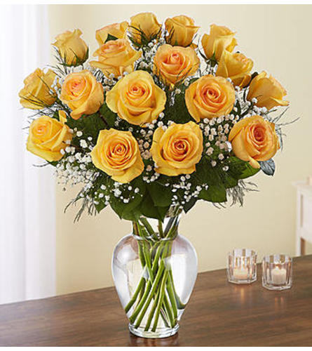 Yellow Roses Eighteen