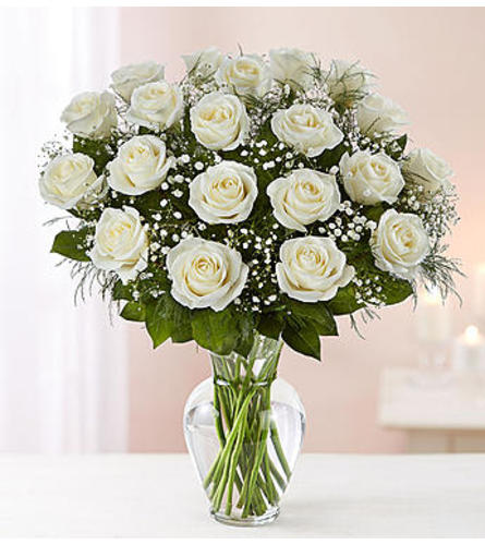 White Roses Two Dozen