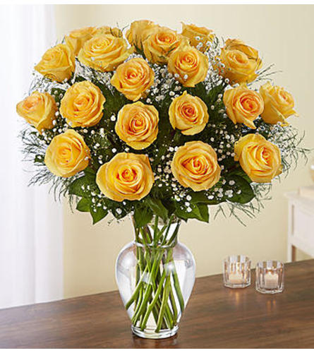 Yellow Roses Two Dozen