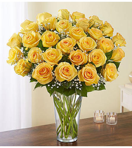 Yellow Roses Three Dozen