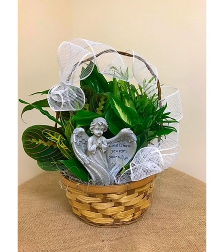 Sympathy Dish Garden With Angel Small. An arrangement by Flowers of Charlotte.