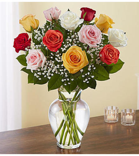 Assorted Roses One Dozen