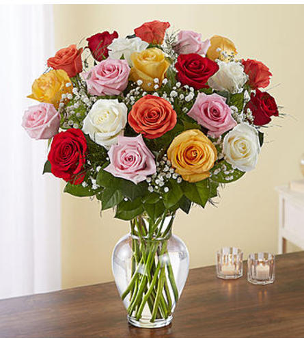 Assorted Roses Two Dozen