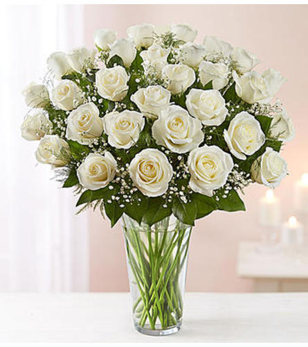 White Roses Three Dozen