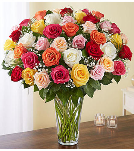 Assorted Roses Four Dozen