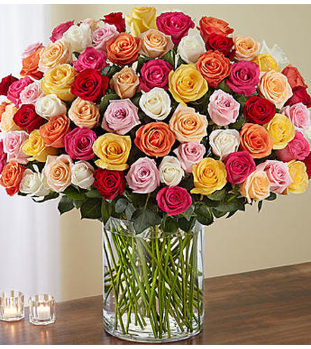 100 Premium Multicolored Roses