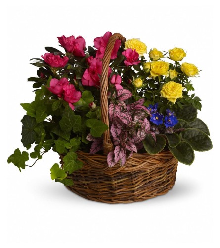 The Blooming Garden Basket