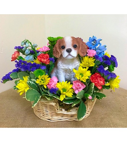 King Charles in a Basket