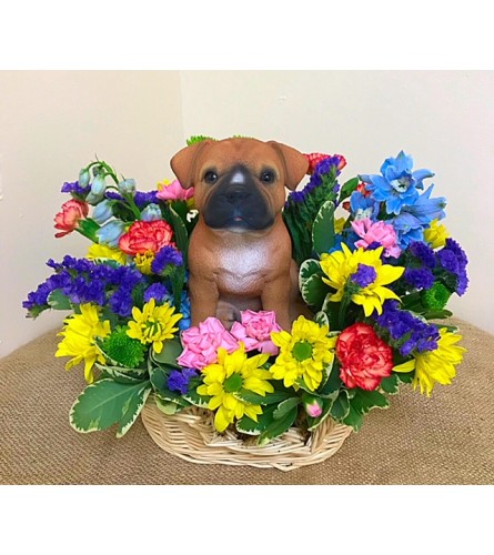 Sassy Staffordshire in a Basket