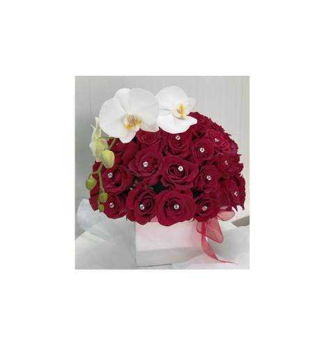 White and Red Love