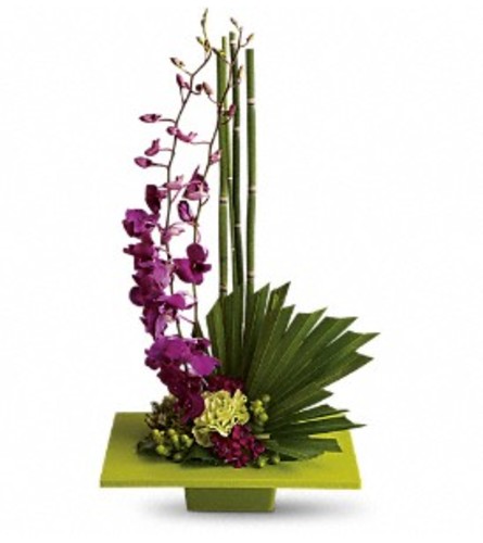 Zen Arrangement