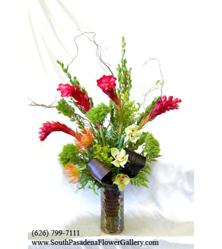 Tropical floral