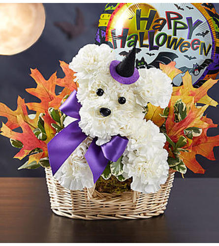 Withchy Pooch - Deluxe. An arrangement by Lovingly Charlotte.