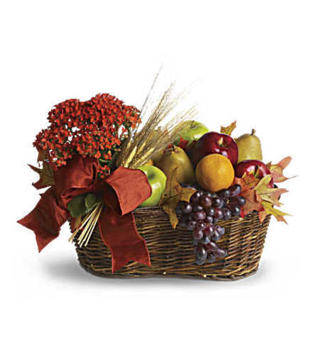 The Fresh Picked Basket