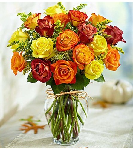 1800 Flowers Rose Elegance™ Premium Autumn Roses