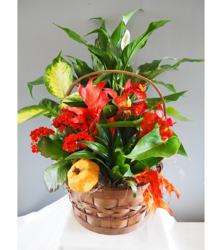 Fall Flowering Basket