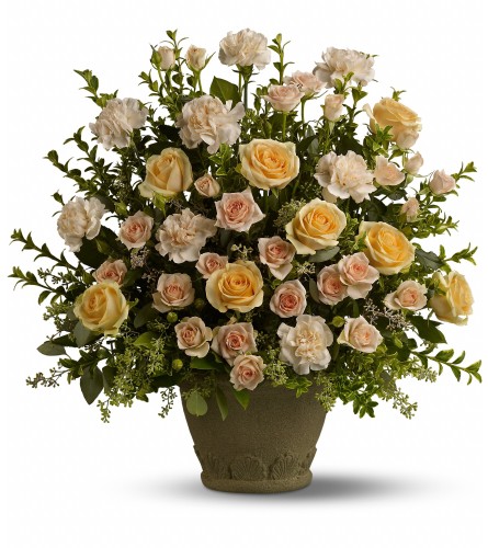 Rosy Rememberance (TF)