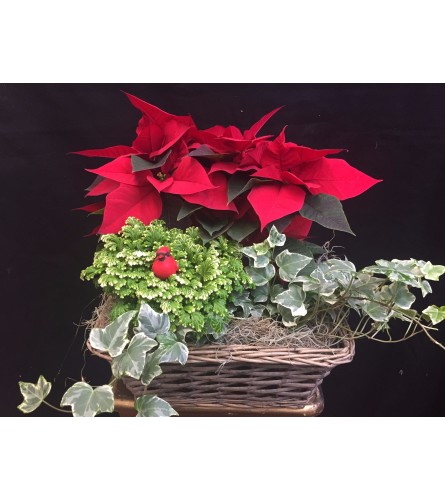 Christmas Garden Planter