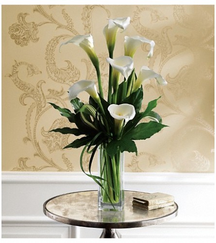 Fantastic Calla Lilies