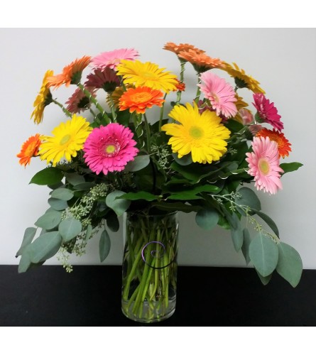 Everyone Loves Gerberas