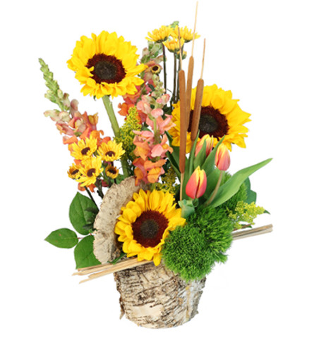 Reeds of Hope. An arrangement by Elegant Florist.