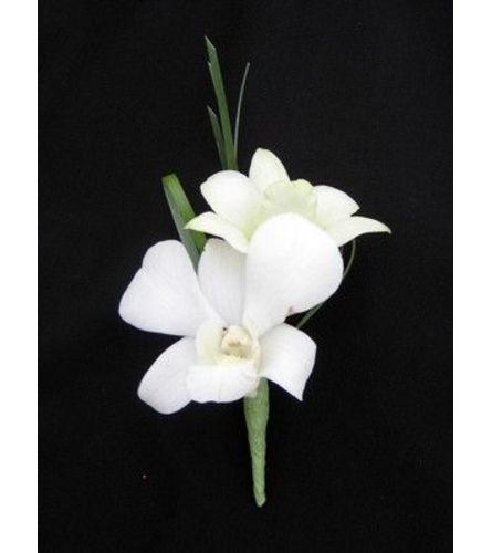 White Orchid Bout