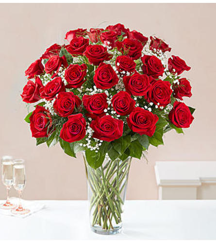 Red Roses Three Dozen