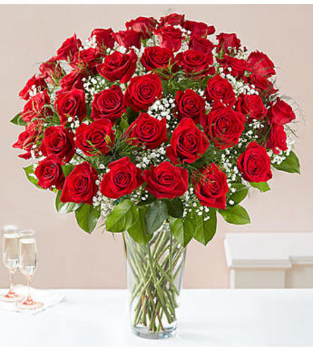 Red Roses Four Dozen