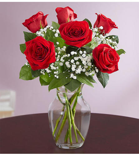 Red Rose 1/2 Dozen