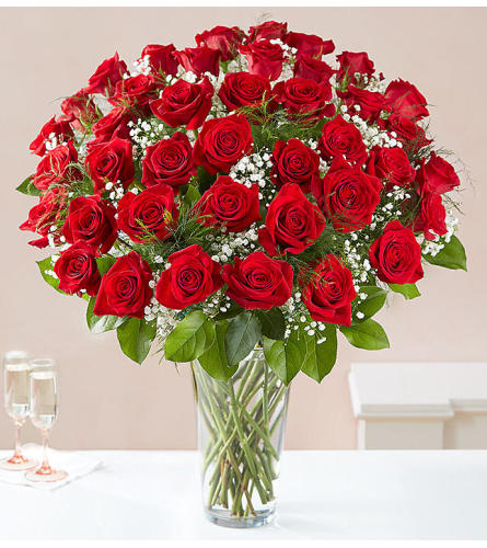 Red Roses 4 Dozen