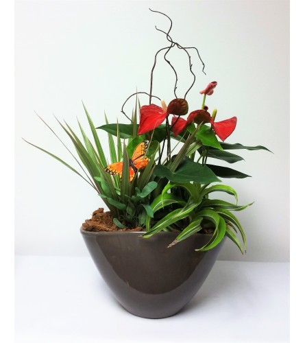 Perfect Planter