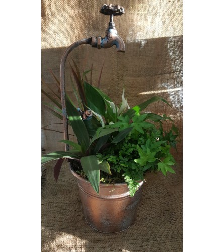 Faucet Container-Plants