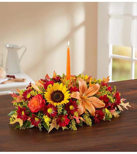 Fields of Europe Fall Centerpiece