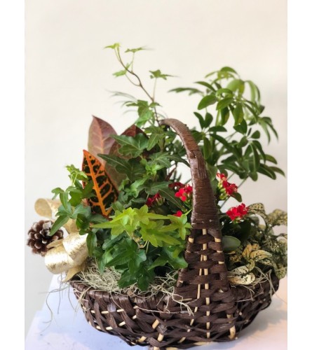 Serene Garden Basket - Standard. An arrangement by April Showers Floral Designs.