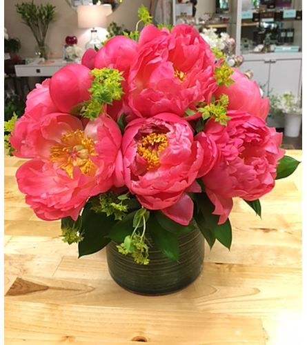 Peony Passion