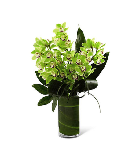 Orchid Bloom Stunning Arrangement