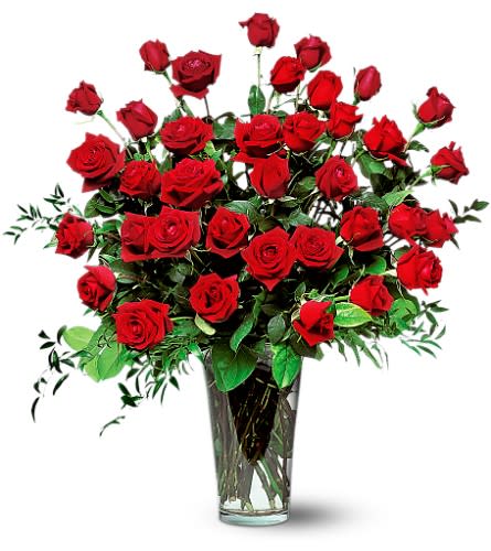 Three Dozen Beautiful Red Roses